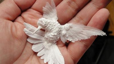 If You Love Something, Set It Free – But Not This Paper Bird
