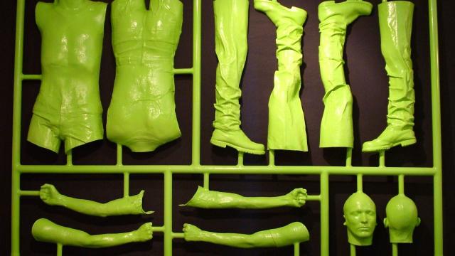 Assemble Your Very Own Human With This Life-Sized Model Kit