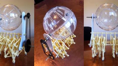 No Rodents Were Harmed In The Making Of This Elaborate Hamster Wheel