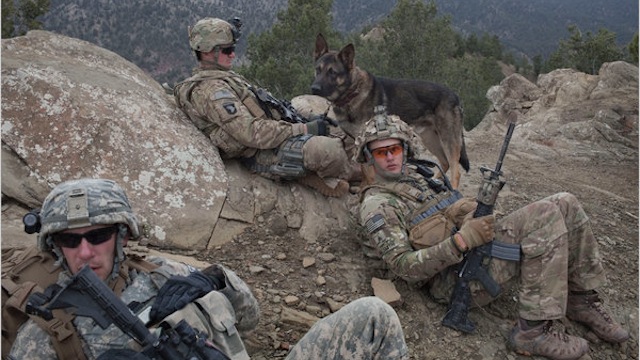 WAR DOGS IN AFGHANISTAN