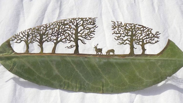 Cutaway Leaf Art Dazzles With Detail