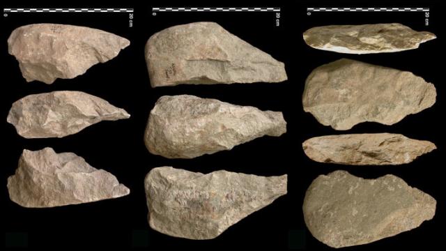Oldest-Ever Homo Erectus Gadgets Revealed