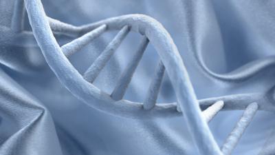 DNA Proves Your Fancy Suit Isn’t A Fake