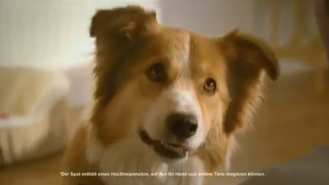 This Dog Food Commercial Has Sounds Only A Dog Can Hear