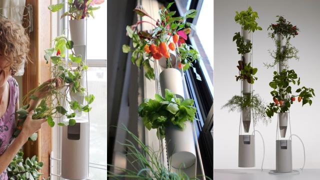 Mini Hydroponic Farm Turns Your Home Into Pot And Produce Heaven