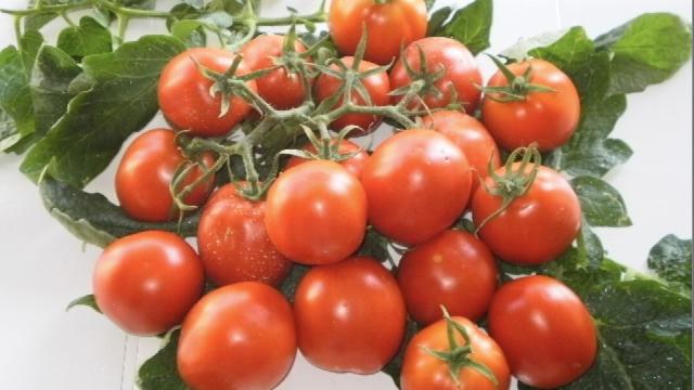 How Tomatoes Could Curb Cancer In Italy