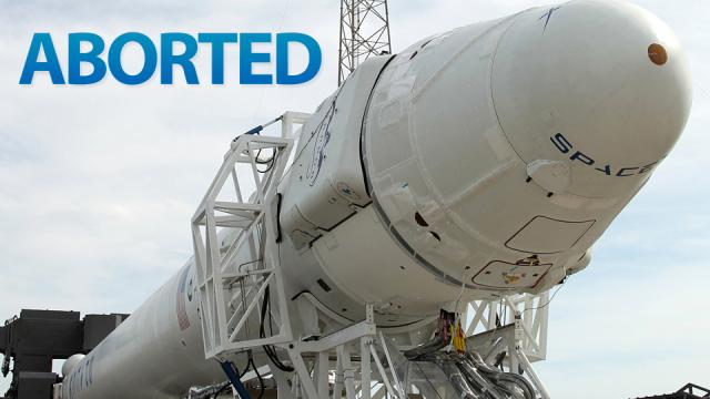 SpaceX Falcon 9: The Future Of Commercial Space Flight Blasts Off Tomorrow