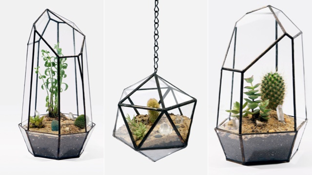 Geometric Terrariums Are A Gorgeous Excuse To Buy A Cactus