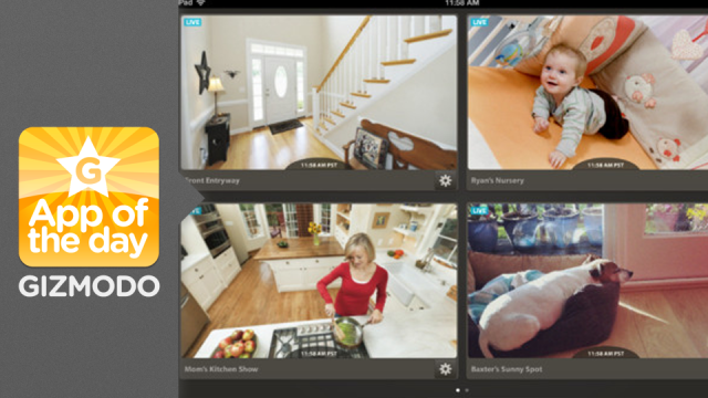 Dropcam: Watch Live Feeds Of Anything For Hours And Hours