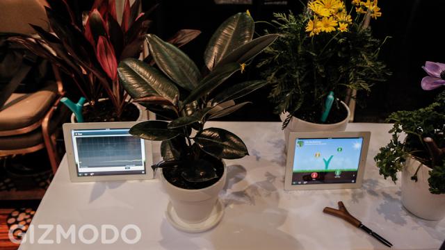 Growing Plants Just Got A Lot Smarter With Parrot’s Flower Power