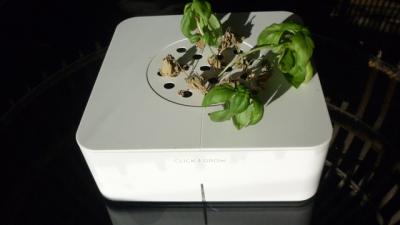 Click And Grow Review: The Hands-Off Hydroponic Garden