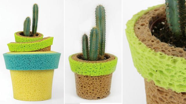 Sponge Pots Serve As Life Support For Plants You Forget To Water