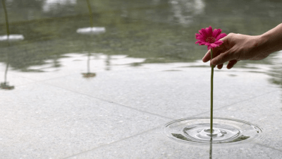 These Awesome Floating Vases Are Practically Invisible