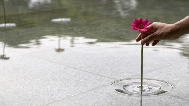 These Awesome Floating Vases Are Practically Invisible