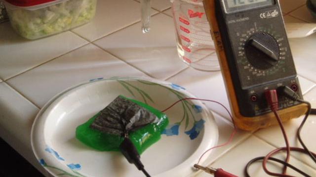 Can You Make A Battery Out Of Jelly?