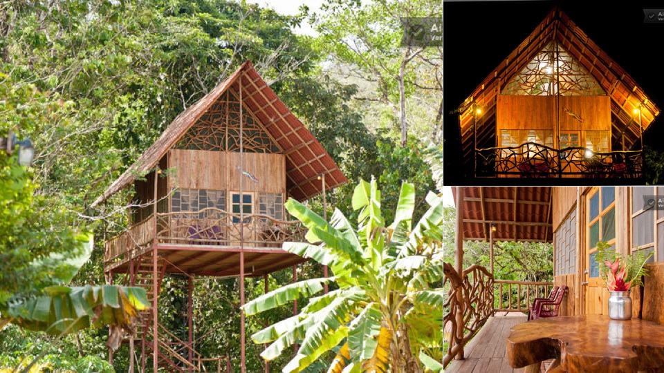 13 Ingenious Treehouses That Go Out On A Limb