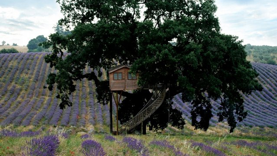 13 Ingenious Treehouses That Go Out On A Limb