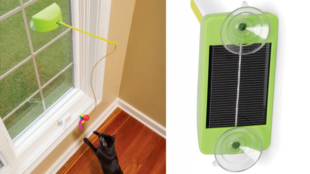 Solar-Powered Cat Toy Taunts Your Feline Forever