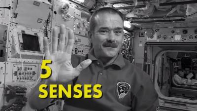 What Space Does To Each Of Your Five Senses