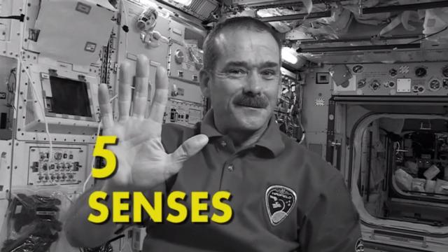 What Space Does To Each Of Your Five Senses
