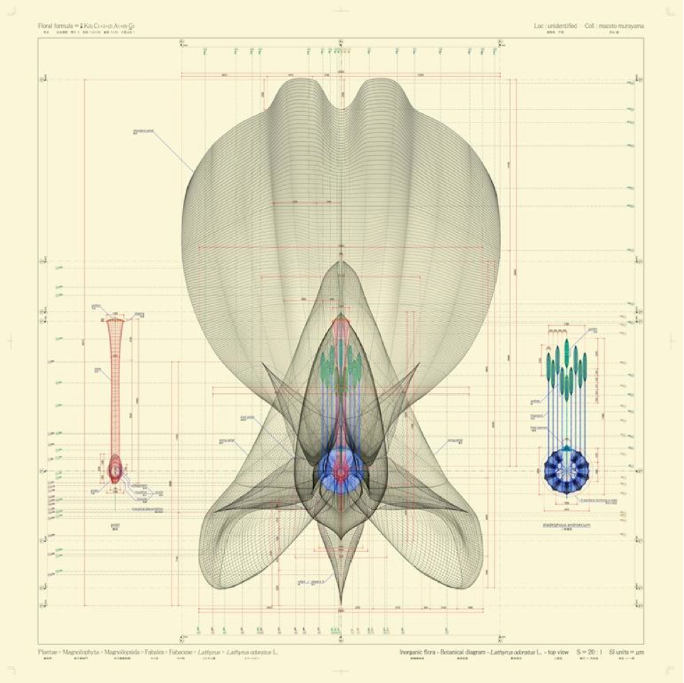Intricate, Ultra-Accurate Blueprints Of Botanical Life