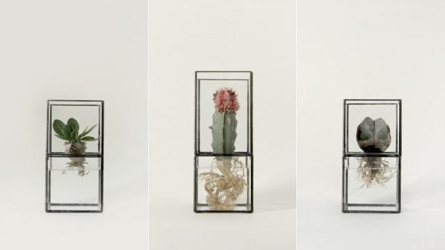 These Simple Japanese Terrariums Are Your Desk’s New Best Friends