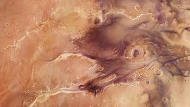The Flood Plains Of Mars