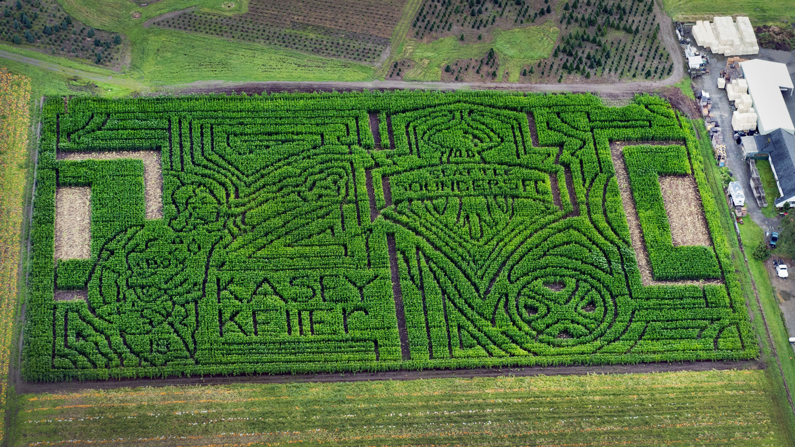 23 Amazing Labyrinths To Get Lost In