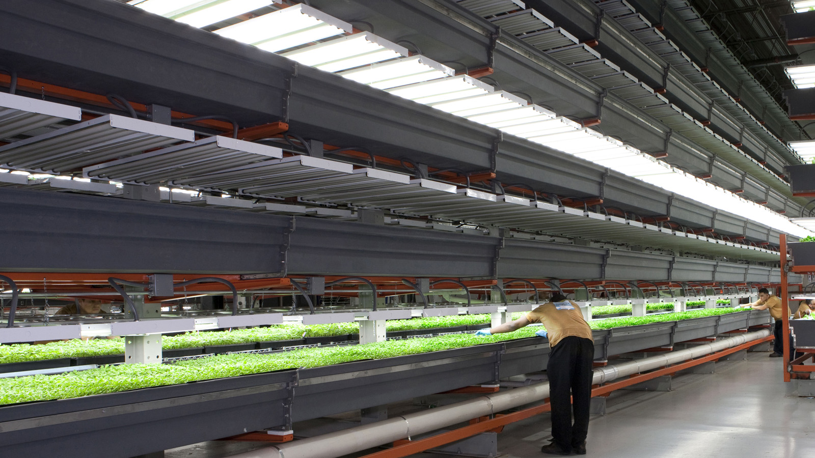 This Is The Future: 14 High-Tech Farms Where Veggies Grow Indoors