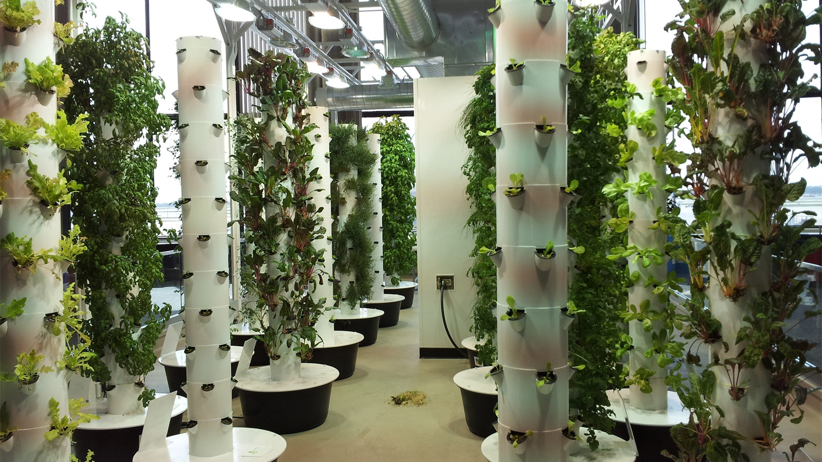 This Is The Future: 14 High-Tech Farms Where Veggies Grow Indoors