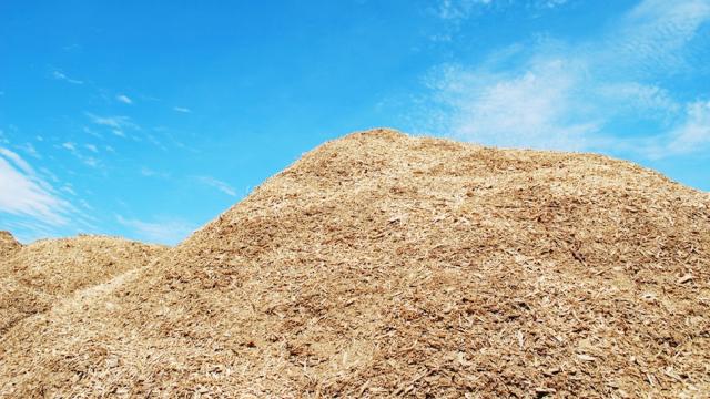 Your Vanilla Flavouring Will Soon Come From… Sawdust