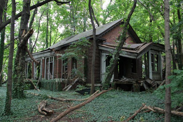 This Ghostly, Abandoned Island Could Become A Special Needs School