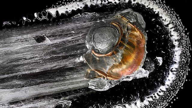 Exploding Bullets Frozen In Plexiglass Are Terrifyingly Beautiful