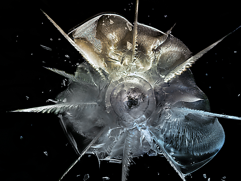 Exploding Bullets Frozen In Plexiglass Are Terrifyingly Beautiful