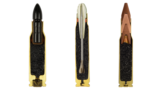Cross-Section Bullets Are Interesting Things… For Something That Could Kill You