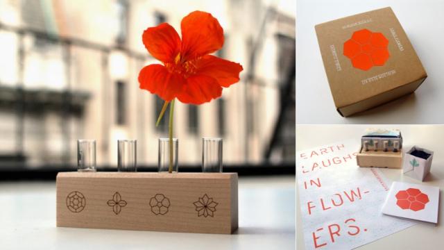 This All-In-One Kit Lets You Grow Flowers You Can Eat