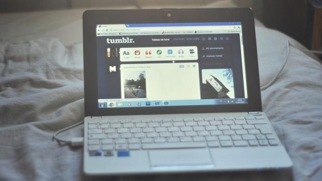 Tumblr’s Big Security Fail Was Absurdly Stupid
