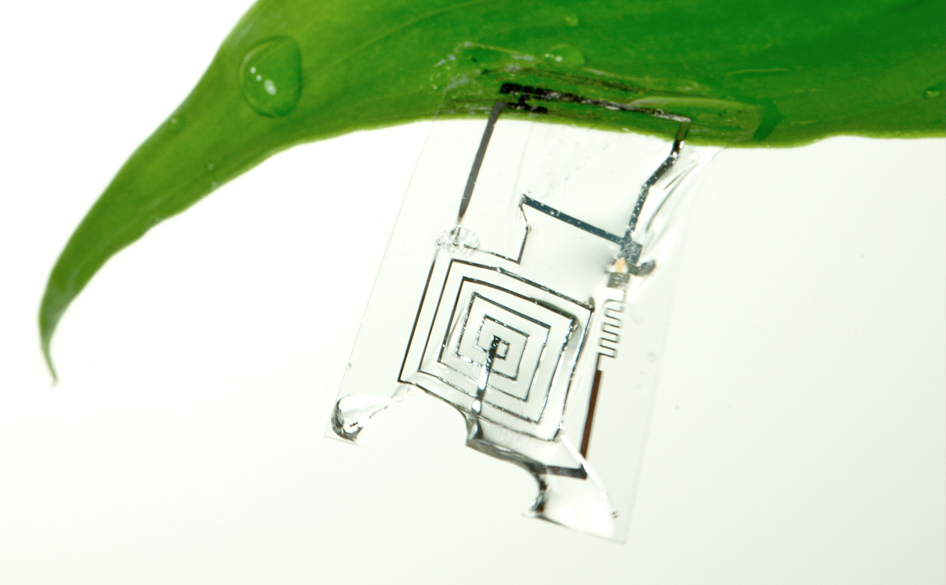 ‘Born To Die’ Electronics Dissolve When Wet