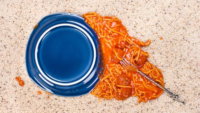 Giz Explains: The Five-Second Rule Will Make You Sick (And Maybe Dead)