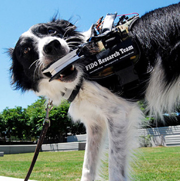 Monster Machines: Know What Your Dog Really Wants With This Pooch-To-People Translator