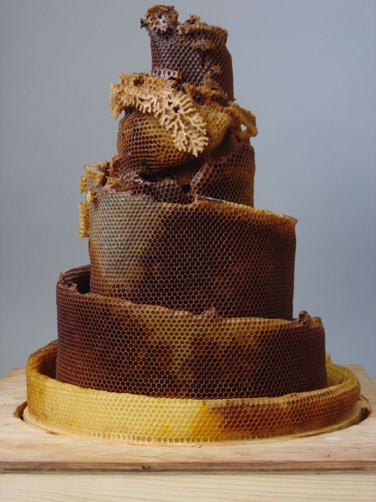 These Honeycomb Sculptures Made By Bees Are Simply Majestic