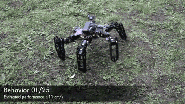 Run For Your Lives: Self-Aware Hexapod Is Self-Aware