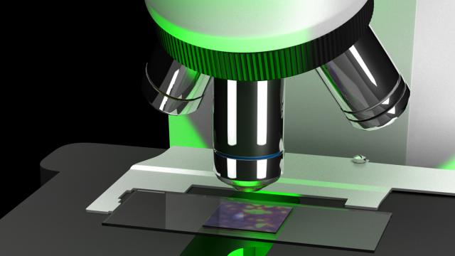 How Scientists Hacked A Normal Microscope Into A Gigapixel Superscope