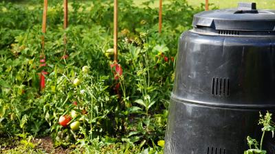 Five Types Of Compost Bins That Turn Trash Into Treasure