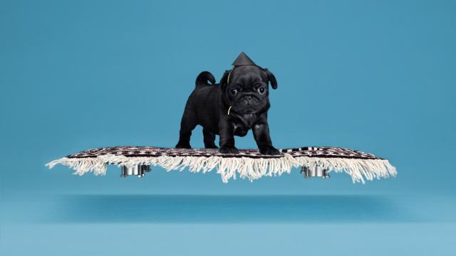 Every Dog Needs This Magnet-Powered Flying Carpet
