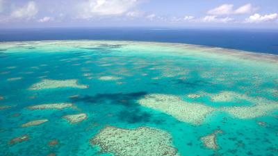 Experts Say Switching To Renewable Energy Now Is The Only Way to Save The Great Barrier Reef
