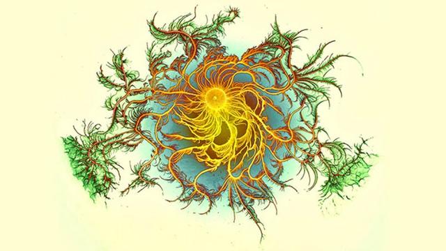 This Psychedelic Art Is Actually Bacteria
