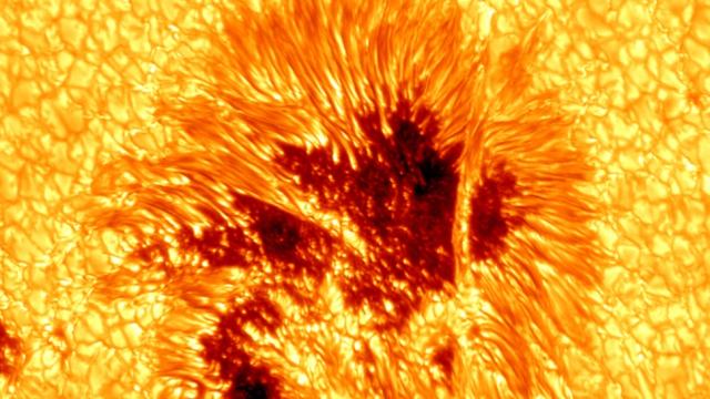 Behold The Glowing Glory Of A Sunspot In Unprecedented Detail