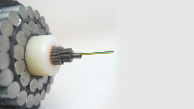 This Is What An Undersea Data Cable Actually Looks Like