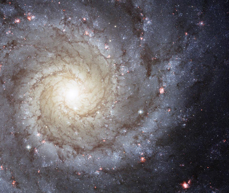 This Stunning Spiral Galaxy Is Out There Right Now